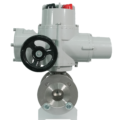 Electric Rotary Actuator (High Torque)