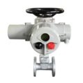 Explosion-Proof Electric Actuator for Hazardous Area