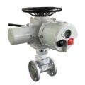Explosion-Proof Electric Actuator for Hazardous Area