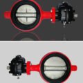 Pneumatic Sector Actuator (Rack and Sector)