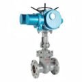 Coolant Distribution Unit (CDU) Isolation Valve